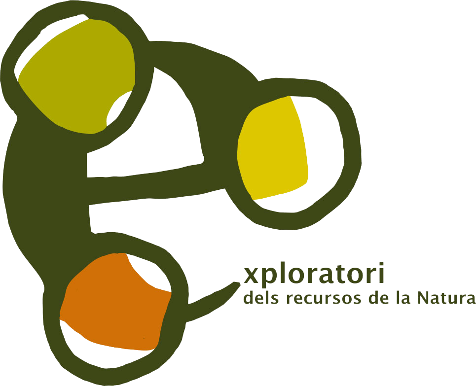 logo exploratori transparent